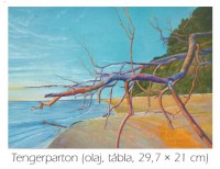 /album/fenykepgaleria/tengerparton-75-dpi-jpg/